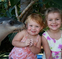 Dolphin Marine Magic - Northern Rivers Accommodation