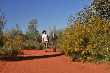 Alice Springs Desert Park - Northern Rivers Accommodation 3