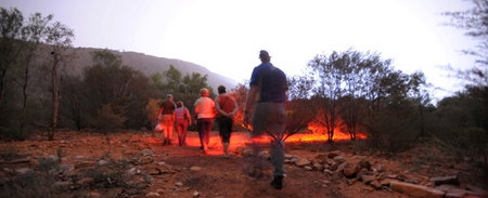 Alice Springs Desert Park - Northern Rivers Accommodation 4