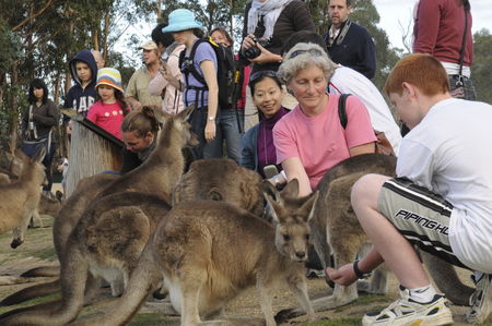East Coast Natureworld - Northern Rivers Accommodation 4