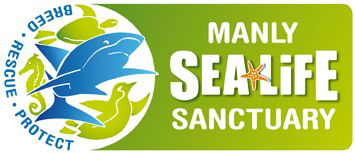 Manly SEA LIFE Sanctuary - Northern Rivers Accommodation 0