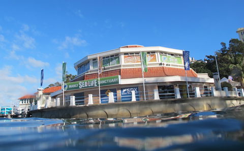 Manly SEA LIFE Sanctuary - Northern Rivers Accommodation 2