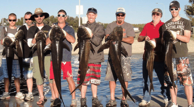 BKs Gold Coast Fishing Charters - Northern Rivers Accommodation 1