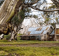 High Country Scenic Tours - Northern Rivers Accommodation