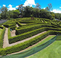 Bellingham Maze - Northern Rivers Accommodation