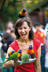 Currumbin Wildlife Sanctuary - Northern Rivers Accommodation 10