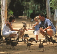Billabong Sanctuary - Northern Rivers Accommodation