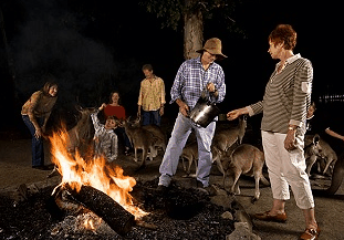 Cairns Night Zoo - Northern Rivers Accommodation 0