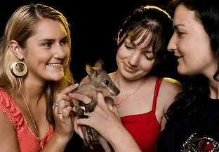 Cairns Night Zoo - Northern Rivers Accommodation 1