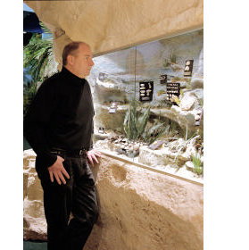 The National Opal Collection - Northern Rivers Accommodation 5