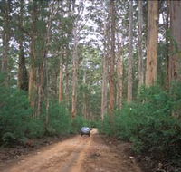 Boranup Drive - Northern Rivers Accommodation