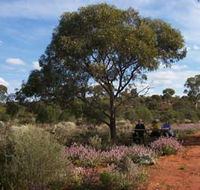 Karlkurla Bushland Park - Northern Rivers Accommodation