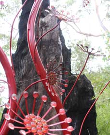 Northcliffe WA Northern Rivers Accommodation