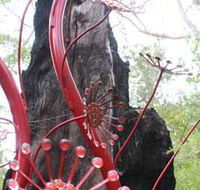 Understory Art In Nature - Northern Rivers Accommodation