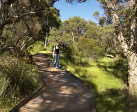 Leschenault Peninsula Conservation Park - Northern Rivers Accommodation 0