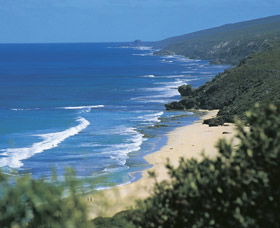 Yallingup Beach - Northern Rivers Accommodation 0