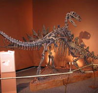 Denmark Dinosaur World - Northern Rivers Accommodation