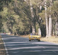 Ludlow Tuart Forest - Northern Rivers Accommodation