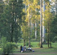 Big Brook Arboretum - Northern Rivers Accommodation