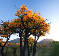 Cape Le Grand National Park - Northern Rivers Accommodation