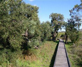 Kepwari Trails Wetland Wonderland - Northern Rivers Accommodation 0