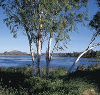 Celebrity Tree Park - Northern Rivers Accommodation