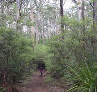 Margaret River Rails Trail - Northern Rivers Accommodation