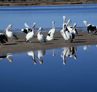 Peel Region Canoe Trails - Northern Rivers Accommodation