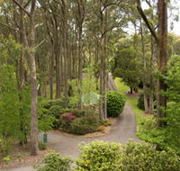 Mount Lofty Botanic Garden - Northern Rivers Accommodation