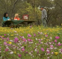 Gwambygine Park - Northern Rivers Accommodation