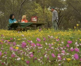 Gwambygine Park - Northern Rivers Accommodation 0