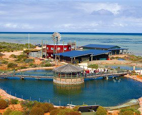 Shark Bay WA Northern Rivers Accommodation