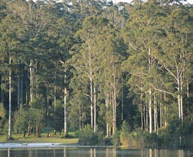Big Brook Dam - Northern Rivers Accommodation 0