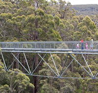 Walpole Wilderness Discovery Centre - Northern Rivers Accommodation