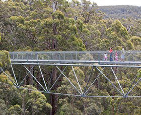 Walpole Wilderness Discovery Centre - Northern Rivers Accommodation 0