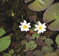 Parry Lagoons Nature Reserve - Northern Rivers Accommodation