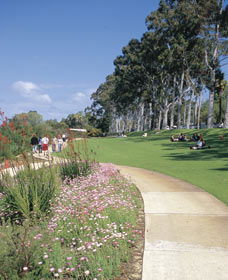 Kings Park Free Guided Walks - Northern Rivers Accommodation 0