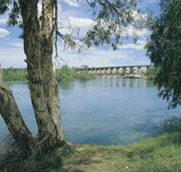 Bandicoot Bar - Northern Rivers Accommodation