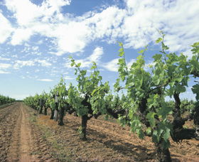 Karridale WA Northern Rivers Accommodation