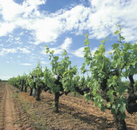 Blackwood Meadery - Northern Rivers Accommodation