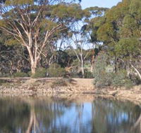 Merredin Railway Dam - Northern Rivers Accommodation
