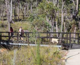 Forest Path, Crooked Brook - Northern Rivers Accommodation 0