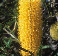 Moore River National Park - Northern Rivers Accommodation