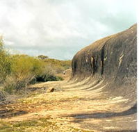 Totadgin Dam Reserve - Northern Rivers Accommodation