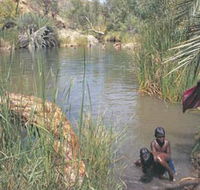 Palm Springs - Northern Rivers Accommodation