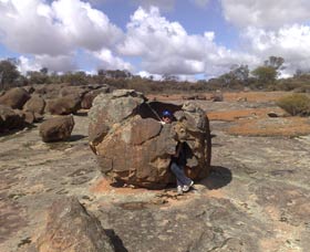 Gathercole Nature Reserve - Northern Rivers Accommodation 0