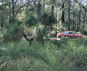 Bridgetown Jarrah Park - Northern Rivers Accommodation 0