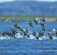 Ord River - Northern Rivers Accommodation