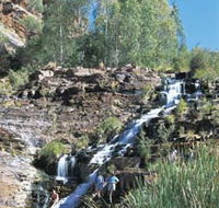 Fortescue Falls - Northern Rivers Accommodation