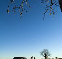 Joonjoo Botanical Trail - Northern Rivers Accommodation